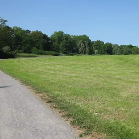 Lejlighed Altstadtapartment