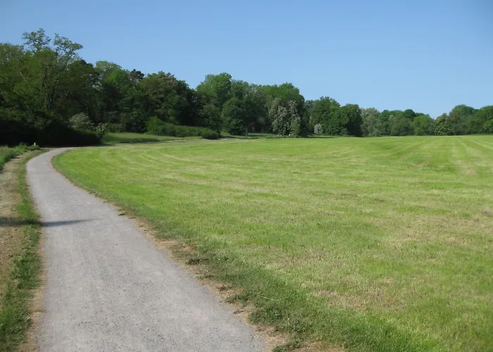 Lägenhet Altstadtapartment