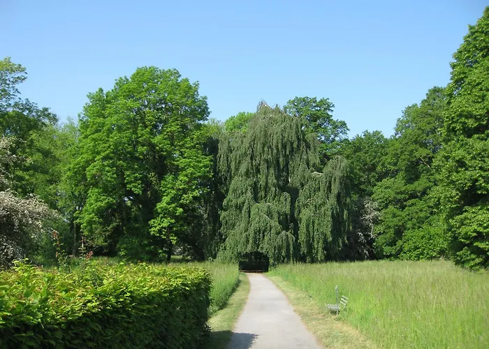 Lägenhet Altstadtapartment *