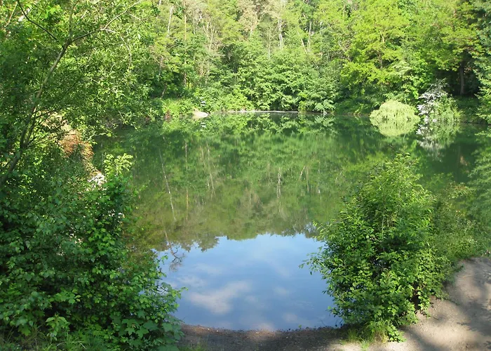 Lägenhet Altstadtapartment Haldensleben