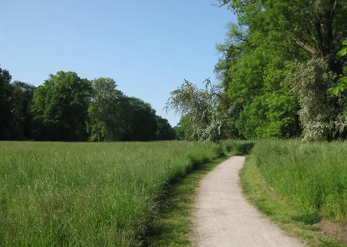 Lägenhet Altstadtapartment *